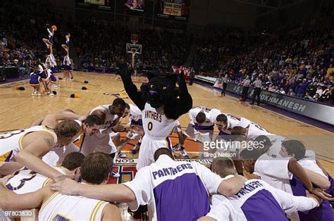 Panthers Mascot Photos Et Images De Collection Getty Images