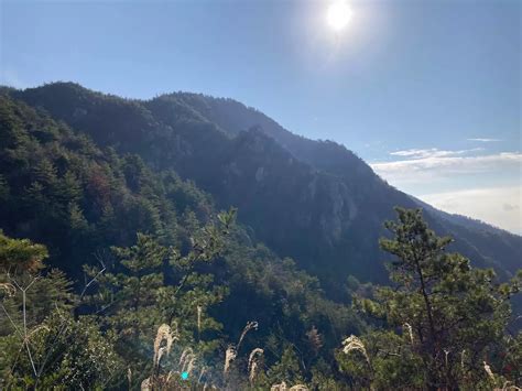 登り始め天応から吉浦へ。上山・烏帽子岩山・茶臼山 ふみちゃんさんの鉢巻山・烏帽子岩山・灰ヶ峰の活動日記 Yamap ヤマップ