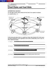 Kami Export Ray Nelson Food Chains And Webs Pdf Back Print Name