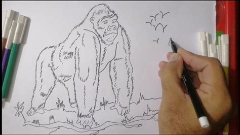 How To Draw A Gorilla Step BY Step Easy Drawings YouTube