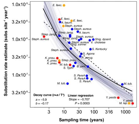 Estimates Of Genome Wide Nucleotide Substitution Rates In Human