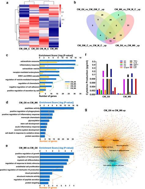 gm bmdm derived conditioned medium   proinflammatory