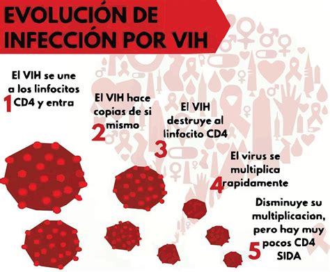 As 3 Fases Da Infecção Pelo Hiv