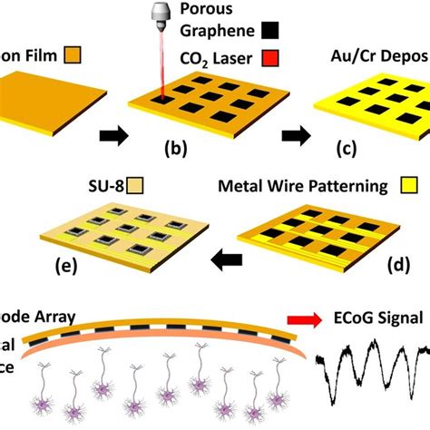 Fabrication Process Of The Porous Graphene Electrode Array A A M