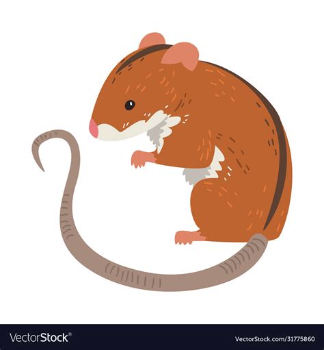 Field Mouse Cute Fluffy Red Rodent Animal Vector Image