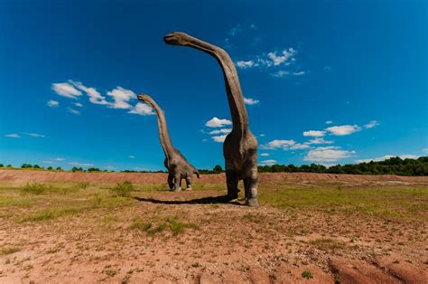 Newly Identified Titanosaur Forgotten Lord Of The Oasis From 75