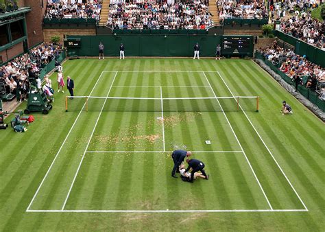 2023 Wimbledon halted after protestors throw puzzle onto court