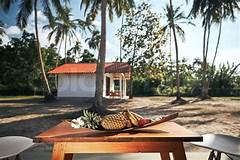 Hotels In Robinson Township Luxury Accommodation For Families