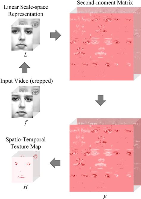 Spatiotemporal Feature Extraction For Facial Expression Recognition