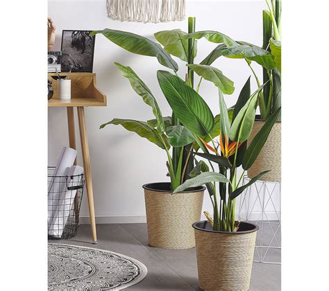 Plante Artificielle Oiseau De Paradis Cm Avec Pot Strelitzia Tree