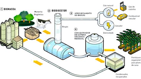 Produção de Biogás é curso online oferecido pela Embrapa