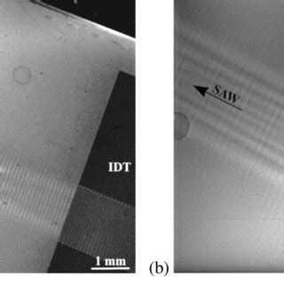 Rocking Curves Of The Cut Of A Linbo Crystal Modulated By Saw