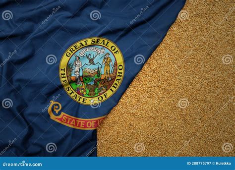 Wheat Grain On The Waving Colorful Big Flag Of Idaho State Stock Image