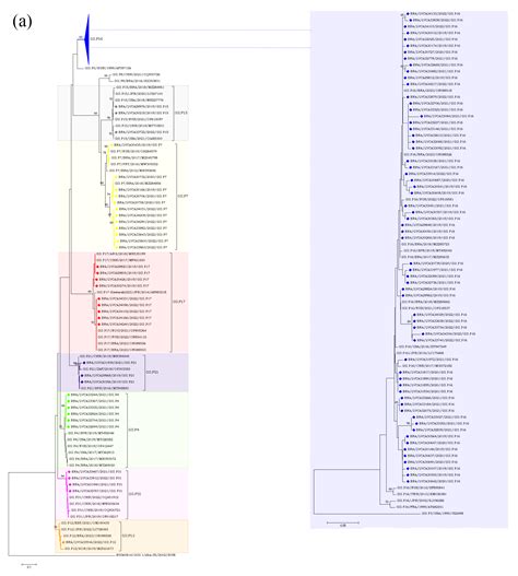 Pathogens Free Full Text Norovirus Epidemiology And Genotype