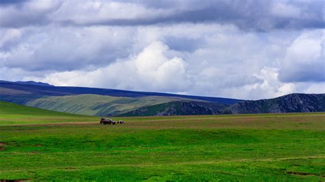 川西甘孜理塘毛垭大草原草原风光自然风景摄影汇图网