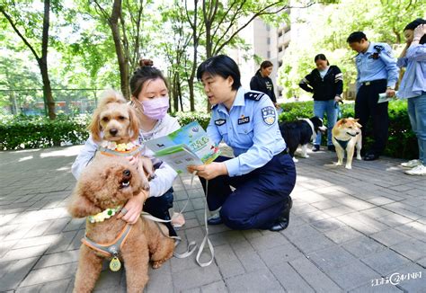 民警进小区开展文明养犬宣传 中国江苏网