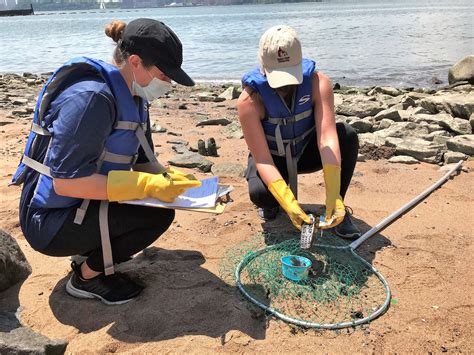Highbridge park Manhattan cleanup efforts uncover hidden historic ruins 25