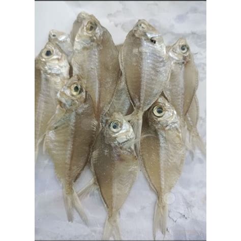 Jual Ikan Asin Kapasan Kemparpati Gatet Kuniran Boso 250gr Shopee