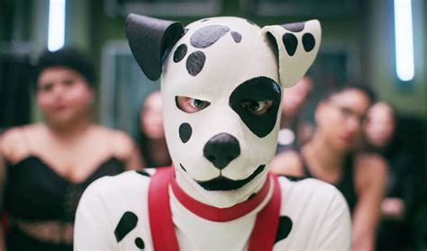 Pet Play The Ultimate Guide For Gay Men