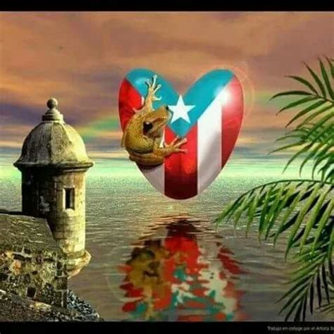 Pin By Hagen On Puerto Rico Puerto Rico Pictures Puerto Rico Art