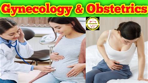 Difference Between Obstetrics And Gynecology Obstetrician