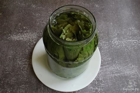 Маринованные виноградные листья на зиму | рецепт пошагово, фото, отзывы