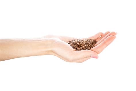 Flax Seeds In Womans Hands Isolated On White Background Stock Photo