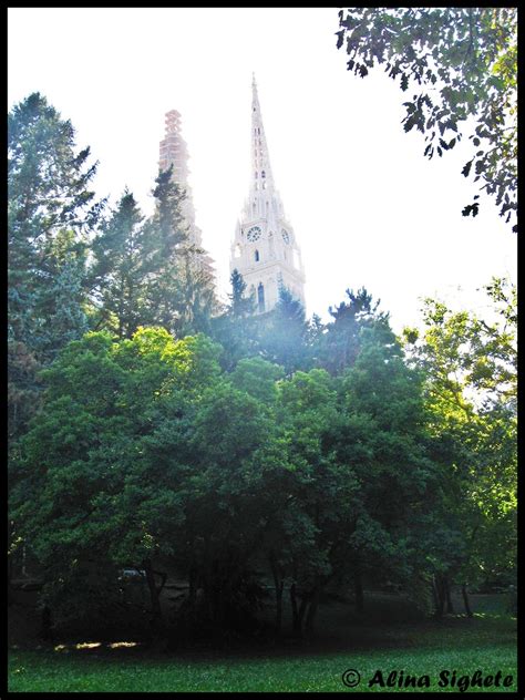 Hidden Cathedral | Alina Sighete