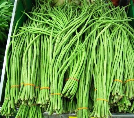 The best varieties of green beans – Healthy Food Near Me