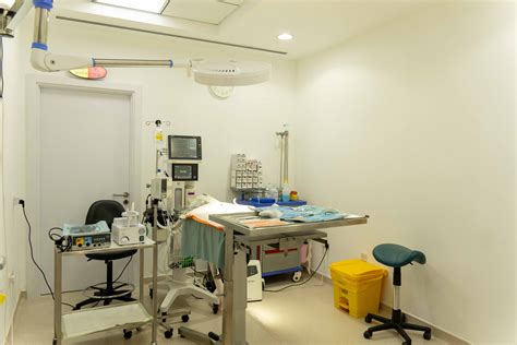 24 Hour Emergency Vet Clinic Dubai | Alpha Vet Clinic