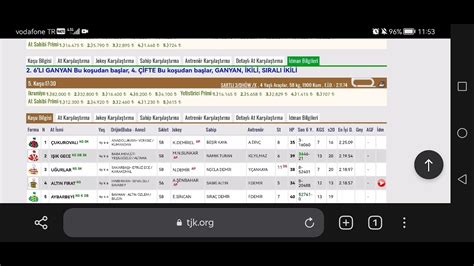 Mart Cumartesi Adana Alt L Ganyan Tahminleri Adana At Yar