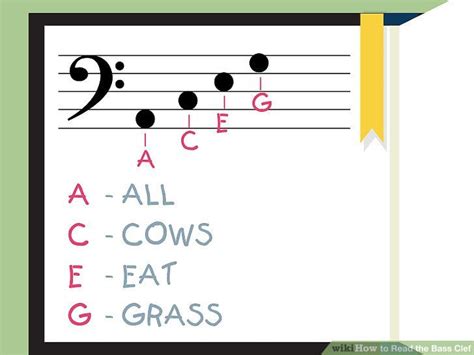 How To Read The Bass Clef Learning Bass Bass Guitar Lessons Guitar Quotes