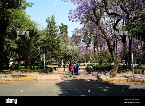 Park In Polanco District Mexico City Stock Photo Alamy