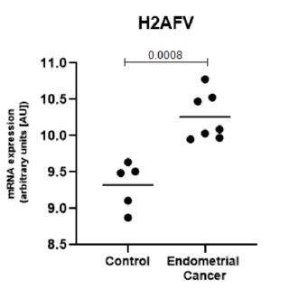 H2AFV Is Expressed At Significantly Higher Levels In The Endometrial