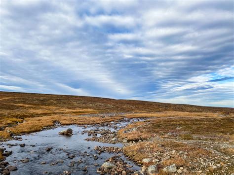 Hiking Experiences - Visit Alta - English