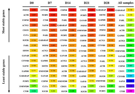 Frontiers Transcriptome Based Selection And Validation Of Optimal