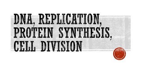 Dna Replication Protein Synthesis Cell Division Ppt Download