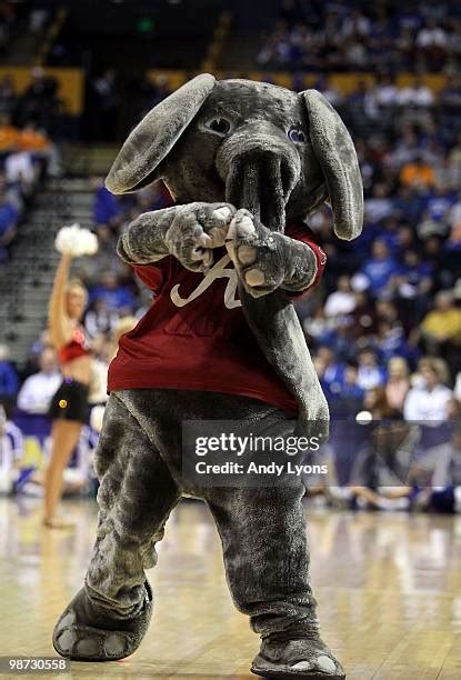 Alabama University Mascot Photos and Premium High Res Pictures - Getty ...