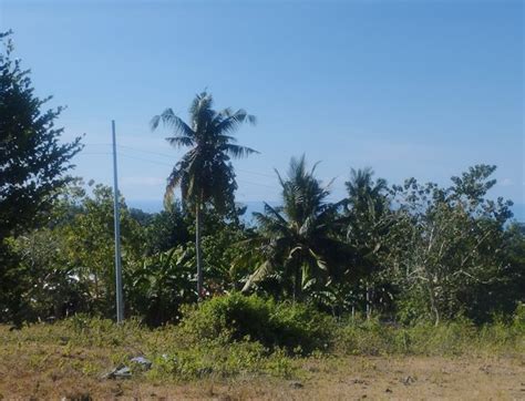 Residential Lot For Sale Dauis Bohol Properties May On