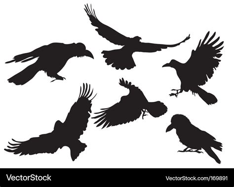 Crow silhouette Royalty Free Vector Image - VectorStock