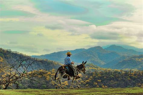 A Timely Response: Relief After the Earthquake in Ecuador