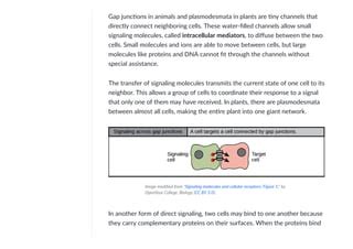 Introduction To Cell Signaling Article Khan Academy Pdf