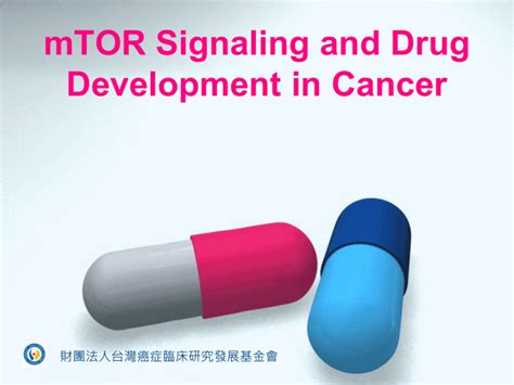 mTOR inhibitors and transplant