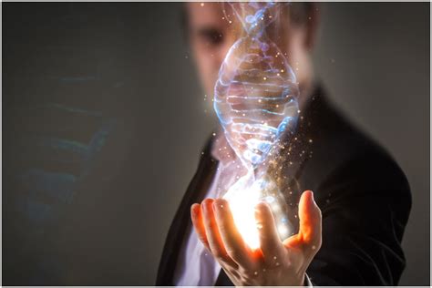 What is 12 Strand DNA Activation? - Complete Guide - Insight state