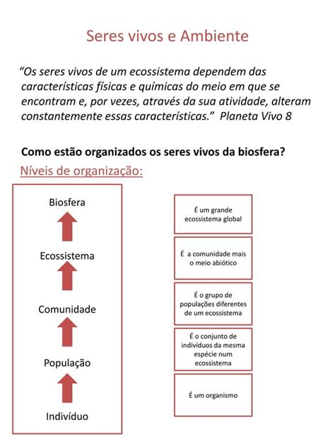 Din Mica Dos Ecossistemas Pdf