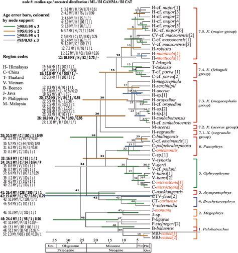 Figure From Evolutionary History Of The Asian Horned Frogs