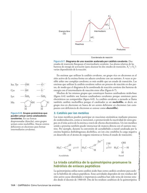 Bioquimica Marks 3