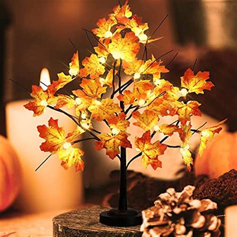 10 Best Fall Trees To Light Up Your Yard