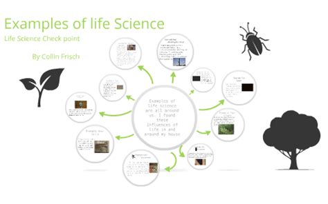 Examples of life Science by Collin F on Prezi