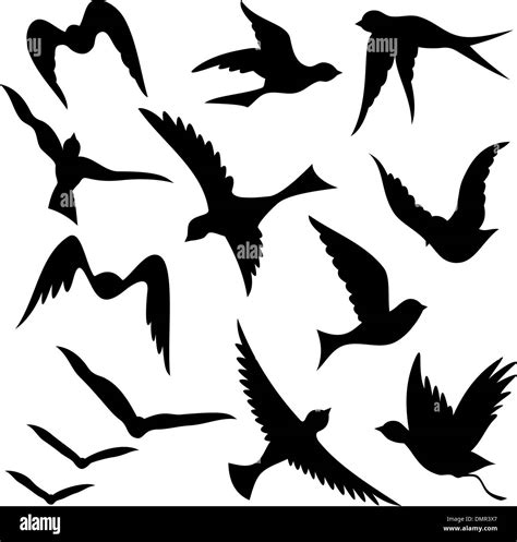 Flying Bird Silhouettes Stock Vector Image Art Alamy